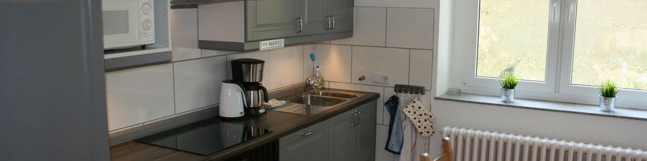 Appartement 001 Küche (1)